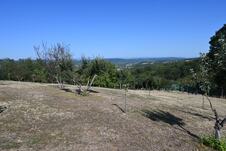 IMG-20260730-WA0015.jpg