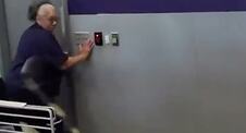 Ogromna iguana iskočila je iz paketa u FedEx poslovnici u Memfisu i izazvala pravu pometnju. Ceo incident slučajno je snimljen i ubrzo je postao viralan.