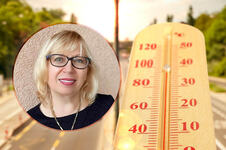 prof. dr Vesna Dimitrijević Srećković