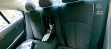 IMG-20260807-WA0132.jpg