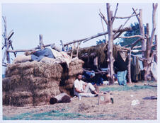 x02 AP David Shelburne.jpg