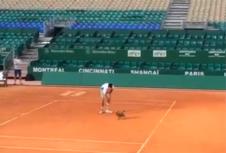 novak.jpg