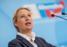 Alis Vajdel AFD Nemčka (4).jpg