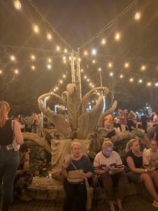 Gradski park Sremska  Mitrovica deveti Gastro-vinski festival Vinski park (11).jpg