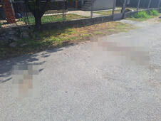 Veliko Gradište dvostruko ubistvo samoubistvo mesto zločina