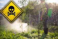 pesticiidi.jpg