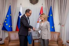 Milica Đurđević Stamenkovski Anže Logar
