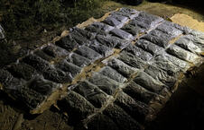 marihuana, Obrenovac, zaplena