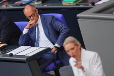 merz widel02 AP Michael Kappeler.jpg