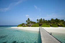 Bahami Bahamas (3).jpg