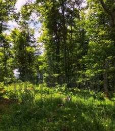 Plac na Mokroj Gori (3).png