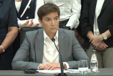 Ana Brnabič (1).png