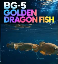 BG-5 Golden Dragon Fish (3).jpg