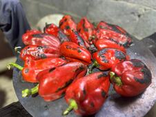 cacak-porodica-martic-ajvar-zimnica-fotorina2.jpeg