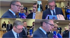 vucic8.png