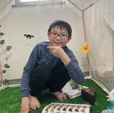 Džo Nagai iz Japana tokom istraživanja leptira i gusenica