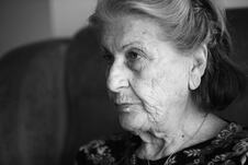 Biljana Plavšić