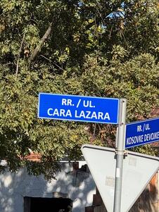 Saša Kalajdžić u poesti manastiru Gračanica