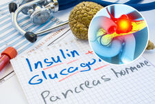 pankreas insulin