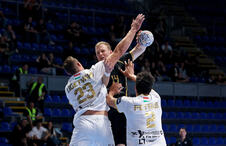 partizan-veszprem-33425514.JPG