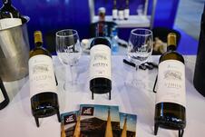 stevica dedjanski vinarija kula vetrova vino marko karovic (26).jpg