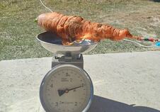 SARGAREPSA-KILOGRAM-FOTO-RINA.jpg