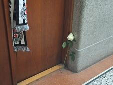 Vladimir Vuletić Pravni fakultet