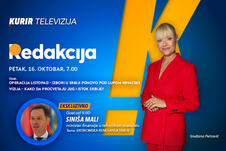 Siniša Mali