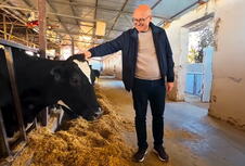 Miloš Vučević