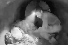 ukrajinska vojska