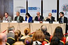 Izbori 2026 Posmatračka misija