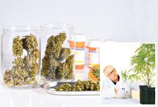 kanabis-marihuana-shutterstock.jpg