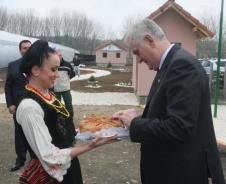 ruze-plastenik-kostolac.jpg