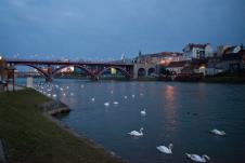 maribor.jpg