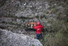 pas-mostar.jpg
