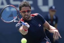 tipsarevic.jpg