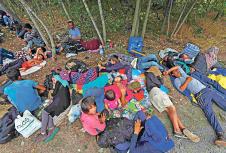 azilanti-aleksandar-djurdjev-migranti.jpg