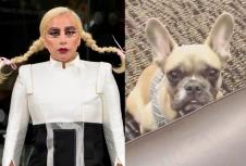 ledi-gaga-pas.jpg