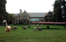 Zoo vrt u sklopu Plejboj vile Hjua Hefnera