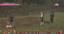 farma.jpg