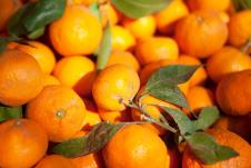 mandarine-mandarina-voce.jpg