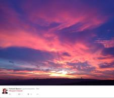 screenshot-10.jpg