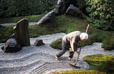 starac-zen-mudrost.jpg