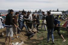 tuca-migranata.jpg