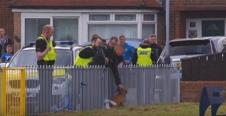 pas-britanija-izgrizao-decu.jpg
