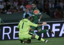 crvena-zvezda-ludogorec-liga-sampiona.jpg
