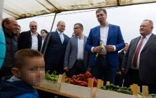 aleksandar-vucic-ljuta-parika.jpg