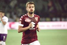 adem-ljajic-proliv-stomak-bol-problem-torino-fudbal.jpg