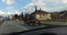 konj-podgorica-zaprega.jpg