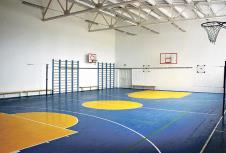 fiskulturne-sale-iznajmljivanje-zarada-casovi-milos.jpg